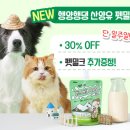 펫조이 이미지