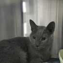 비엔동물전문의료센터 이미지