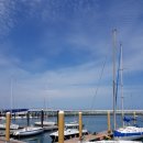 바다회초밥 이미지