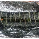 땡겨김밥 - 서귀포시 효돈로 181 | 땡겨김밥