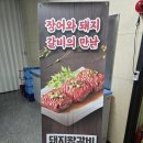씨유 포천내촌 제일점 | 포천 힐스cc 맛집 서파장어랜드 비린내 0 초벌장어 후기