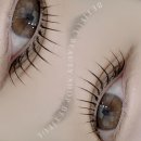 베티풀