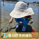 백합어린이집 | [인천 여행] 준비물필요없는 마시안갯벌체험장 주차 대여 영종도 아이랑 조개잡이