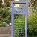 난향동 뜰안에작은도서관 | 청화쑥부쟁이_[서울 관악](251029)난향동 도시락정원 이름표 정정 요청