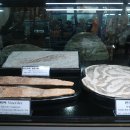 사립강원종합박물관 이미지