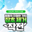 작전 합기도 이미지