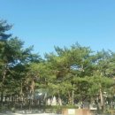 한국에니어그램교육연구소