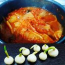 단백한생활 이미지