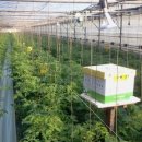 세도농장 이미지