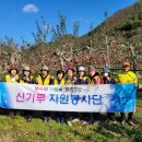 신기루농장 이미지