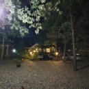 초록수채화 이미지