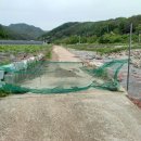 용화1리 이미지