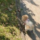 함지초등 이미지