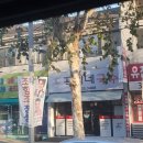꼭지네국수