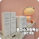 멍뭉다과 | 은계지구왁싱 은계슈가링왁싱 시흥은행동왁싱샵 뽑자슈가링 시흥은계점