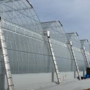 (주)우선팜 이미지