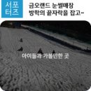 금오랜드 눈썰매장 네이버블로그