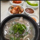 제주맛순대