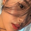 둔산중로-38 네이버블로그