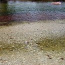 용바위식당 이미지