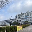 청명중학교 | 중국어 시험 BCT 시험후기 응시료 청명중학교