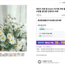 플로리아제이