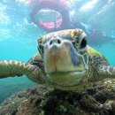 중부-현장-중부-450 이미지