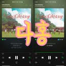 [다홍] 위키미키 Weki Meki [CoinciDestiny] 스트리밍 인증 이미지