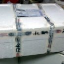 상어네 간식 이미지