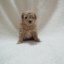 반디의꿈 이미지