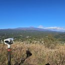 고근산 | 서귀포 고근산 등산 후기｜반려견·아이와 함께 가기 좋은 쉬운 오름 추천