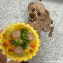 해피웅쓰데이 | 군자 애견 수제간식: '해피웅쓰데이' 붕어빵 만들기 원데이클라스 후기!