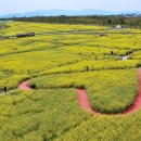 꽃물 공원 이미지