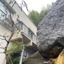 물꽃정원 이미지