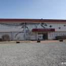 경북대학교자연사박물관 이미지