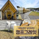 경기도 | 김포 양촌읍 애견동반 캠핑식당 야외바베뷰 맛집_캠프그레잇