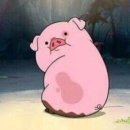 오늘한우 이미지