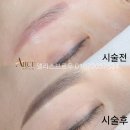앨리스 | 송도 눈썹문신 소개율100% 앨리스 브로우 가격정보(후기)