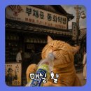 CU 예천서본점 | CU에서 만난 제로 탄산, 뚜껑 열어보니 129년 된 제약회사가 나왔다