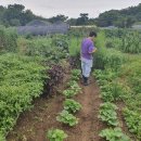 동신농장 이미지