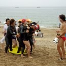 태안바다 이미지