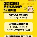 다돼지 이미지