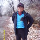 삼가-29 이미지