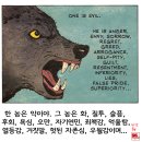 인디언 이미지