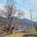마동2리 이미지