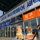 [케이펫페어] 2024년 서울 케이펫페어 세텍 후기 및 정보