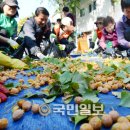 열매국공립어린이집 이미지