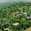 옥화자연휴양림 이미지