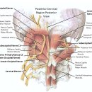 올바른필라테스&PT 이미지
