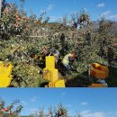 삼공주 농원 이미지